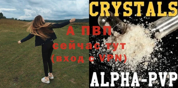 spice Верхний Тагил