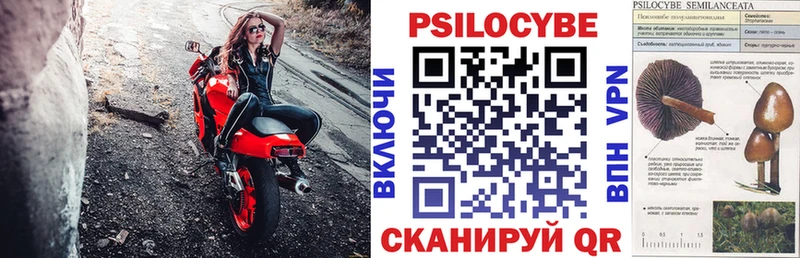 где продают   Вольск  Псилоцибиновые грибы Psilocybine cubensis 