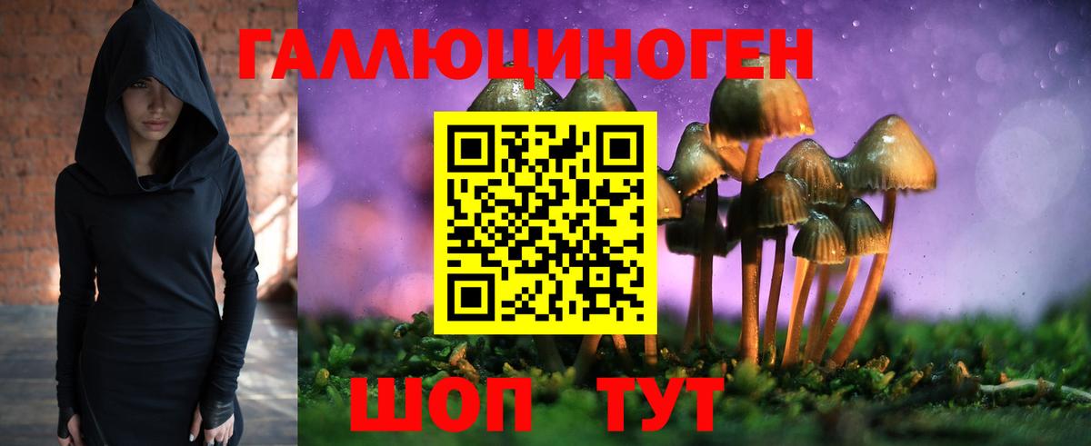 Псилоцибиновые грибы ЛСД  Вход с VPN  Вольск 